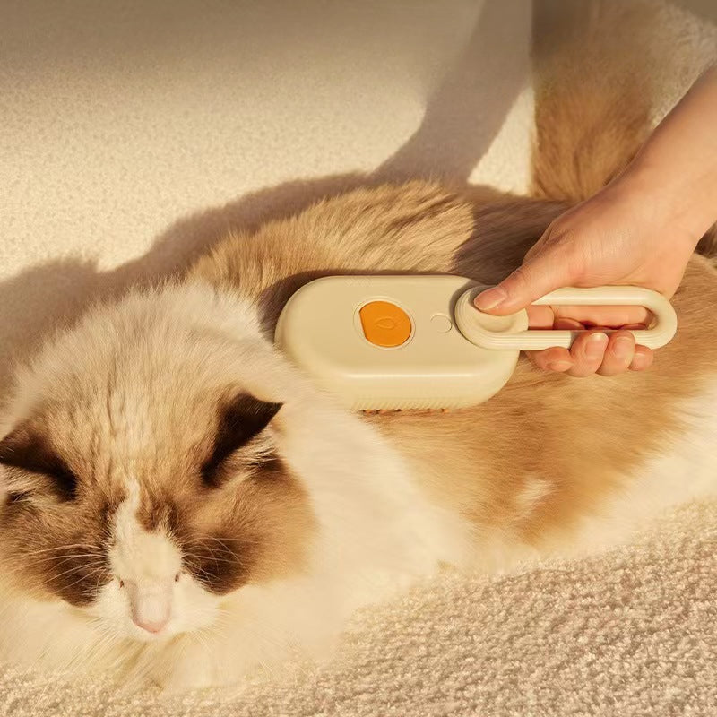 One-Click Spray Anti-Flying Hair Massage Comb