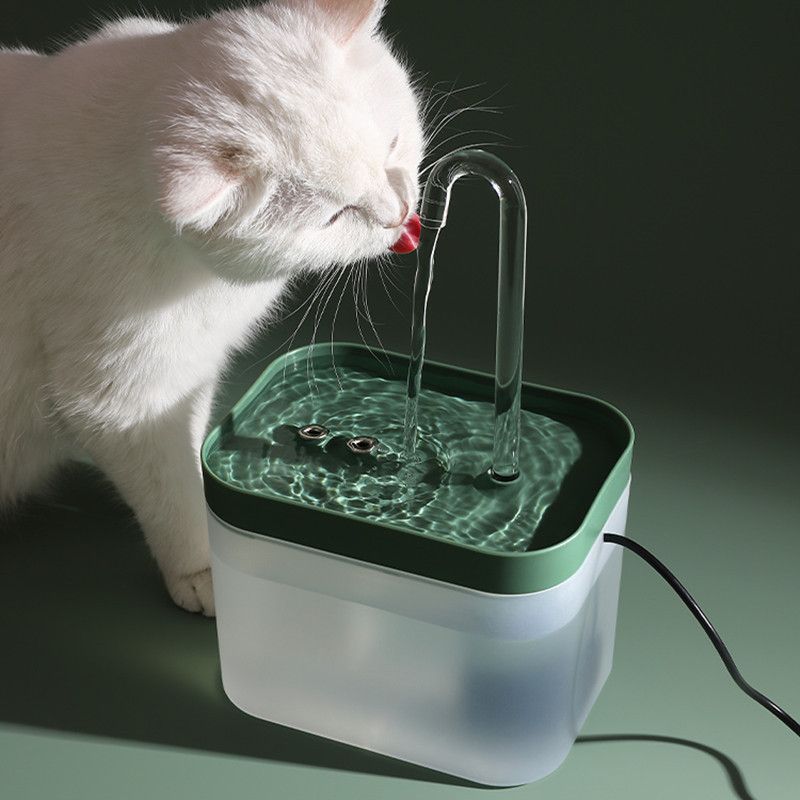 Flowing Water Dispenser