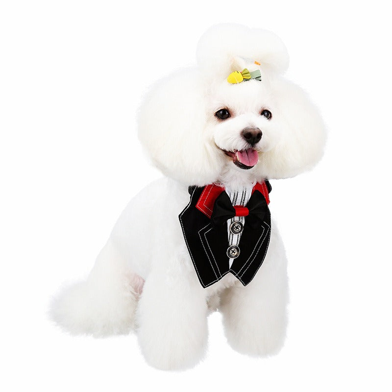 Bow Tie Dog Collar Suit