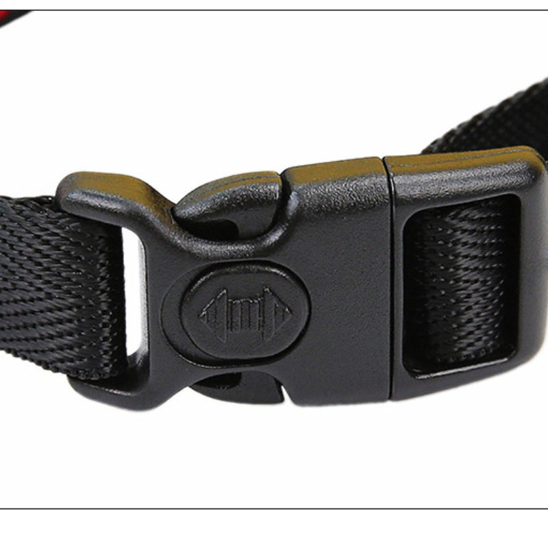 Bow Tie Dog Collar Suit