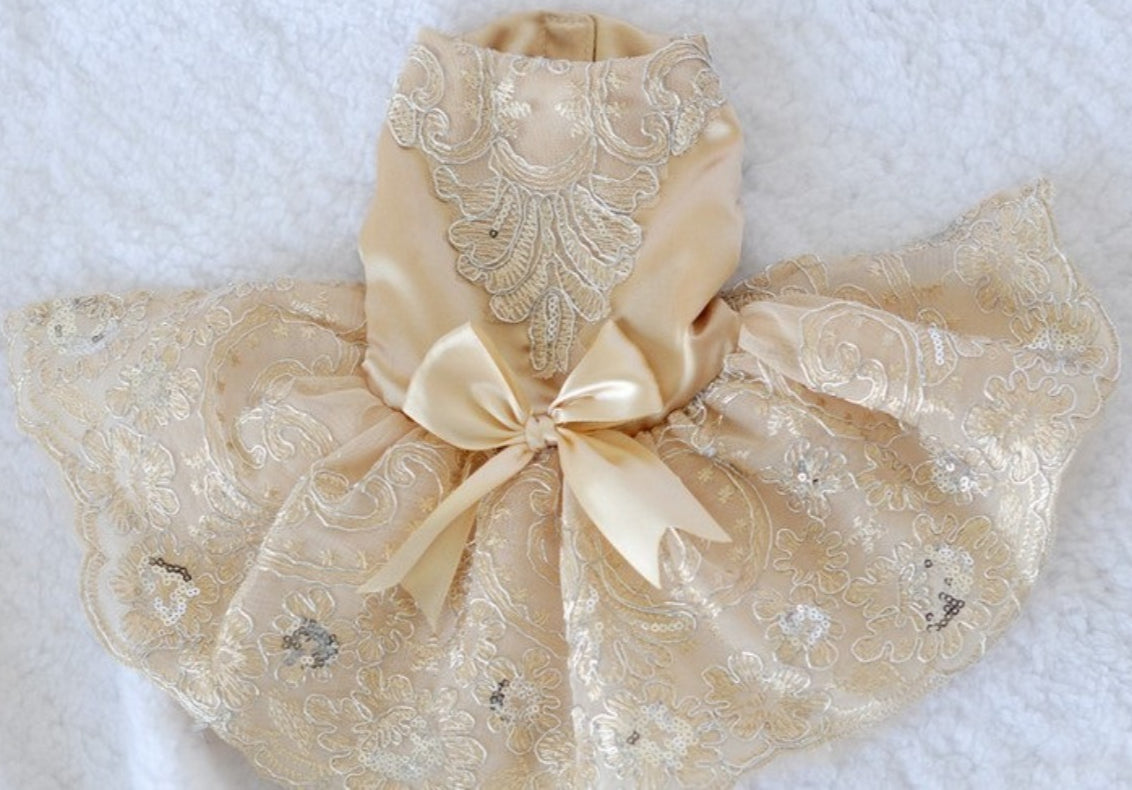 Embroidered Lace Dress