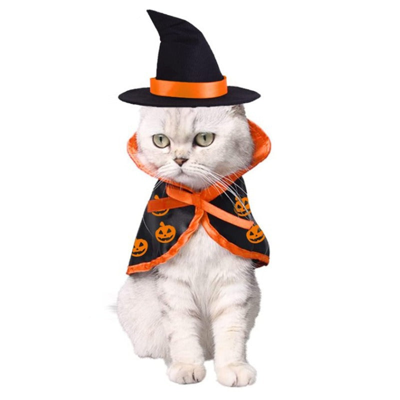 Magic Cape Halloween Pet Costume