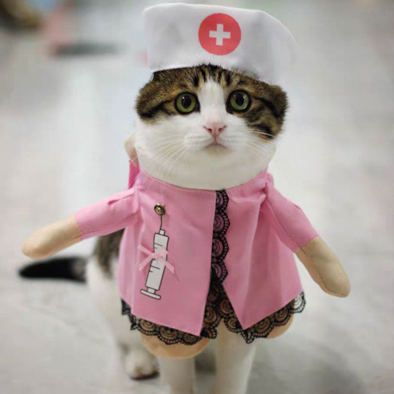 Adorable Pet Costume