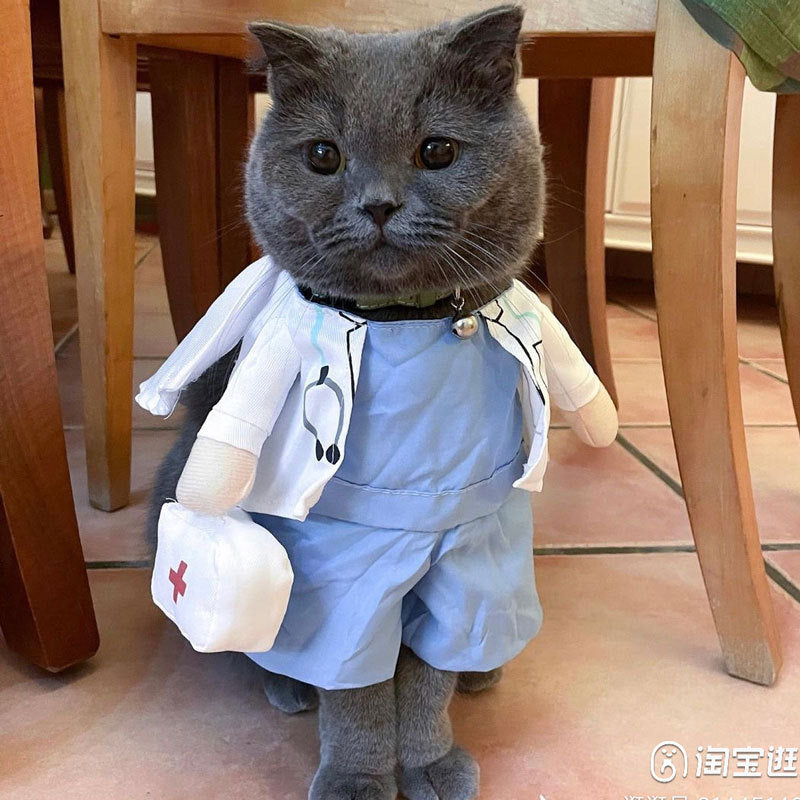 Adorable Pet Costume