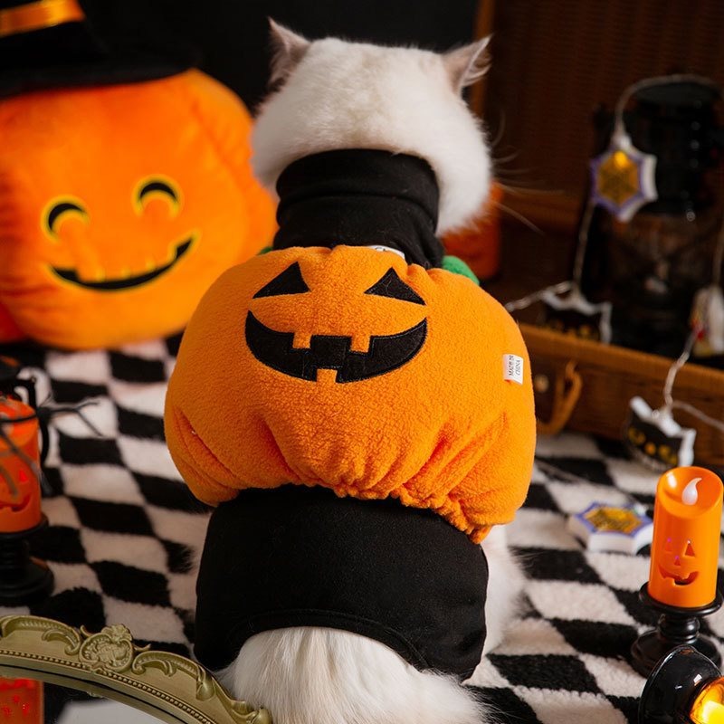Halloween Pumpkin Lantern Costume
