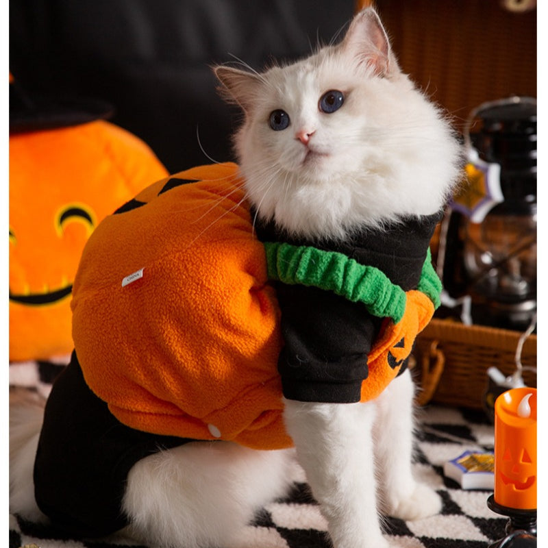 Halloween Pumpkin Lantern Costume