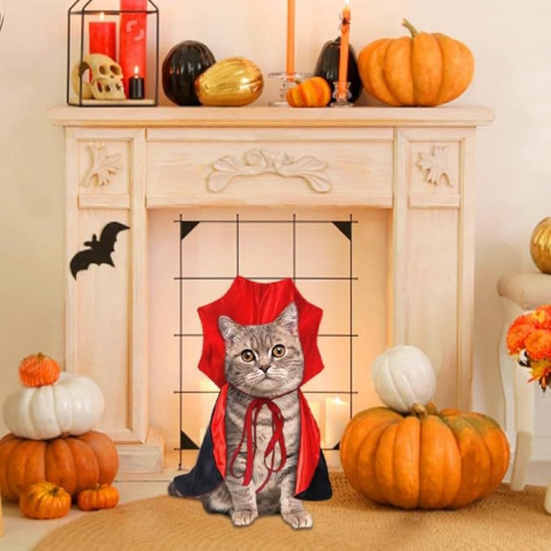 Halloween Cat and Dog Vampire Costume