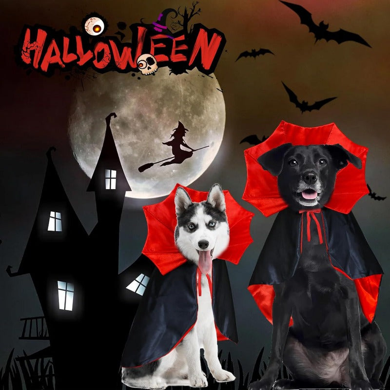 Halloween Cat and Dog Vampire Costume