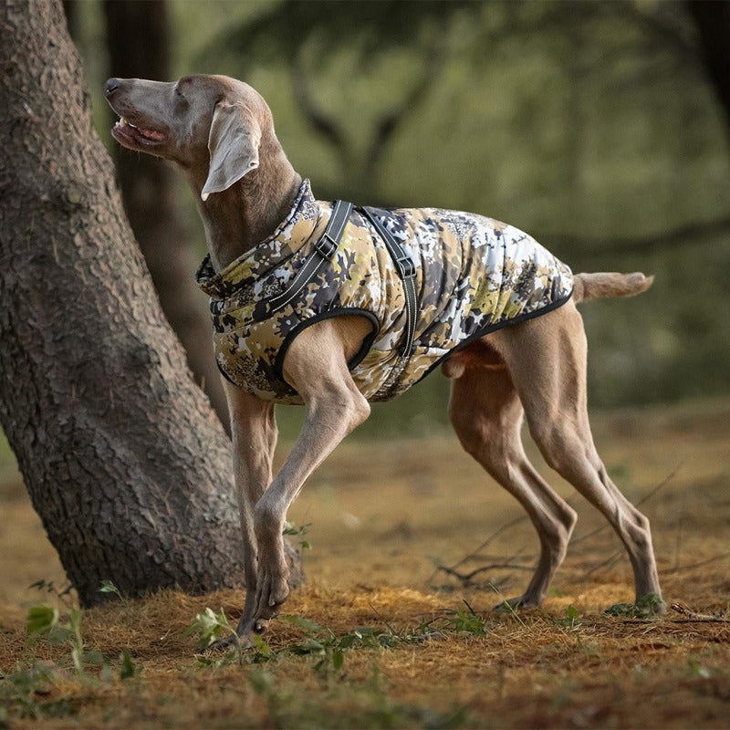 Dog Cotton-Padded Clothes