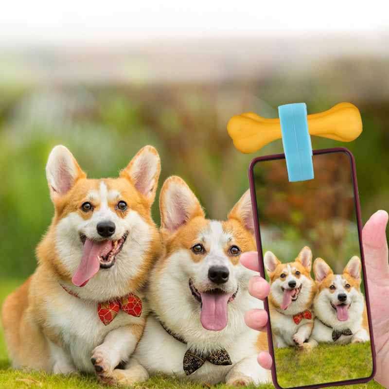 Pet Selfie Clip