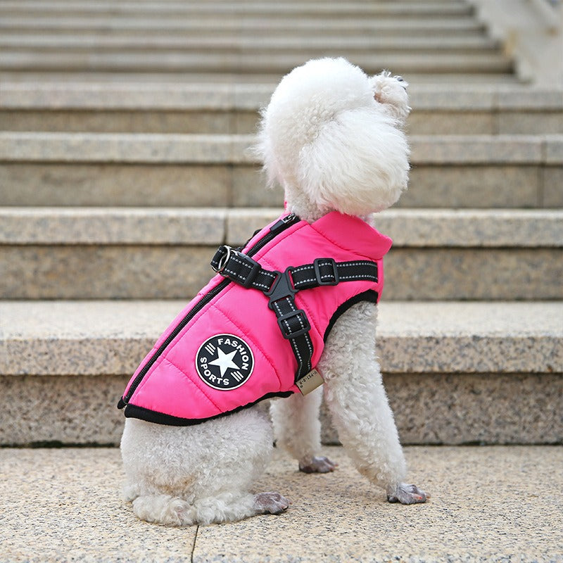 Dog Cotton-Padded Clothes