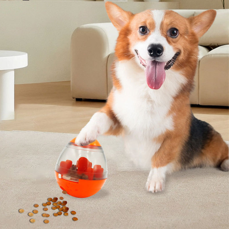 Leaky Food Ball
