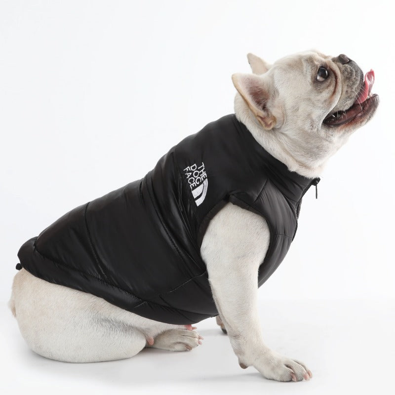 Comfort Fit Cotton Pet Vest