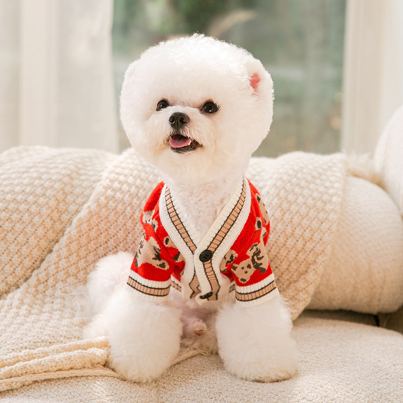 Teddy Bear Sweater
