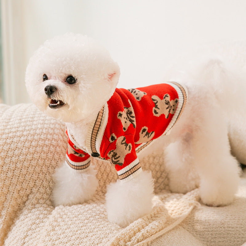 Teddy Bear Sweater