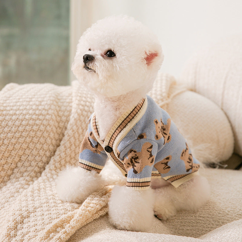 Teddy Bear Sweater