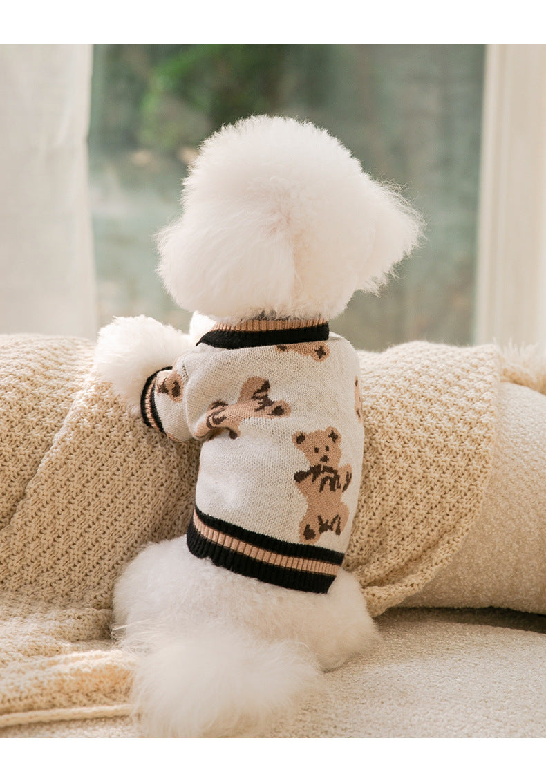 Teddy Bear Sweater