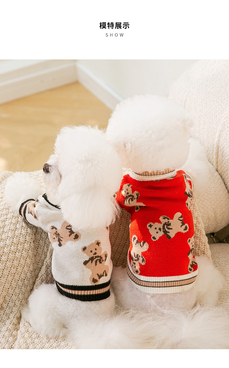 Teddy Bear Sweater