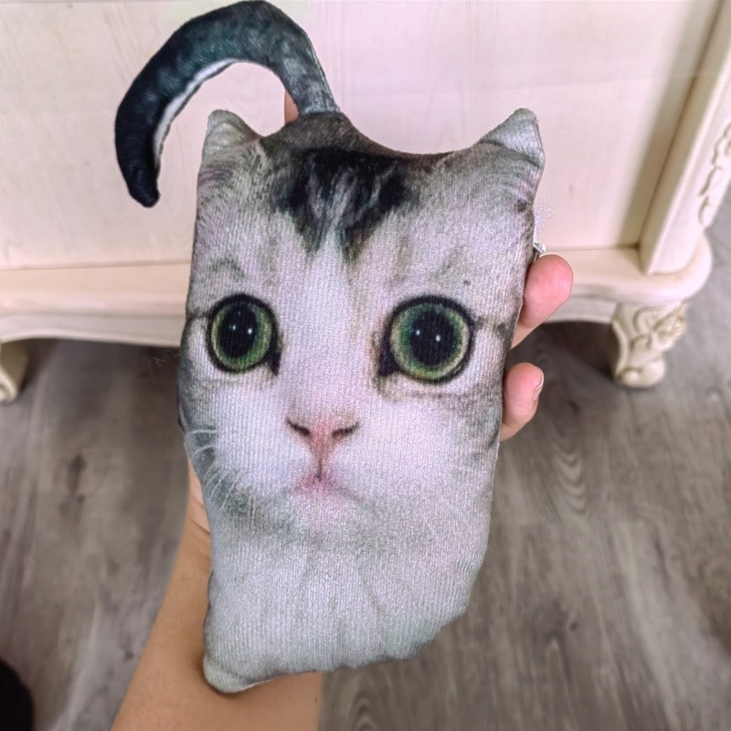 Funky Cat Pillow
