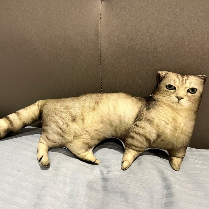 Funky Cat Pillow