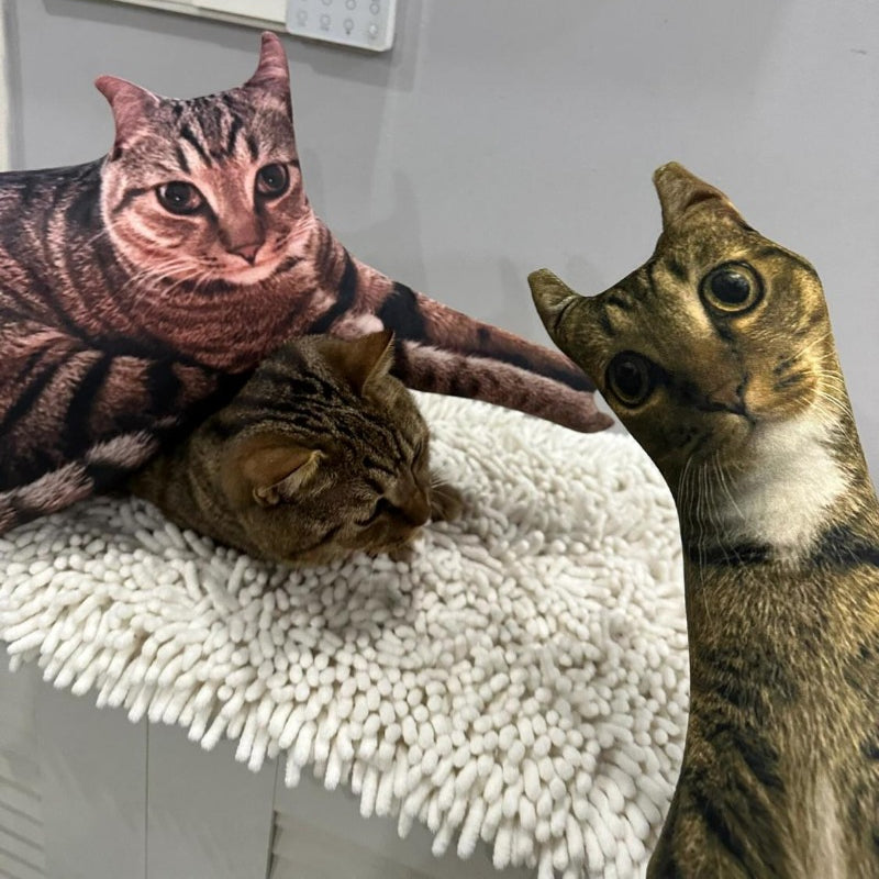 Funky Cat Pillow