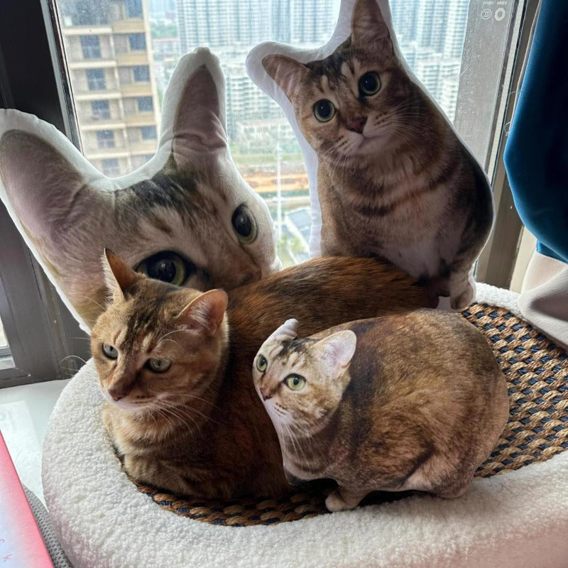Funky Cat Pillow