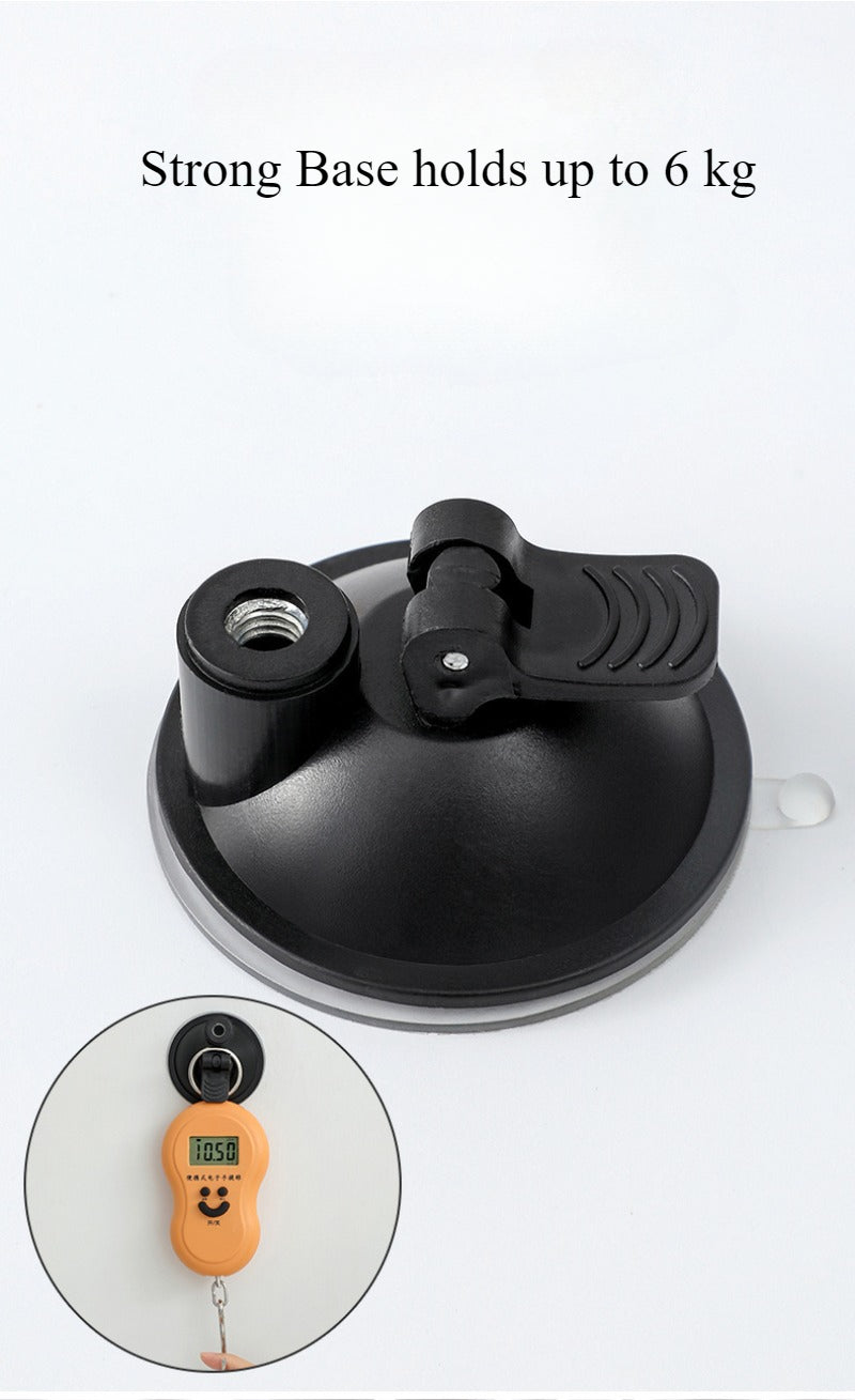 Interactive Steel Wire Feather Bell Cat Stick
