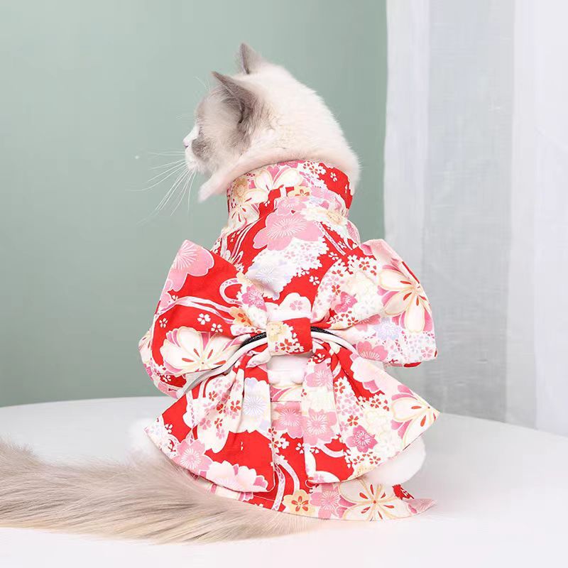Japanese Kimono Clothes