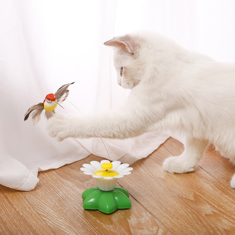 Electric bird & Butterfly Cat Toy