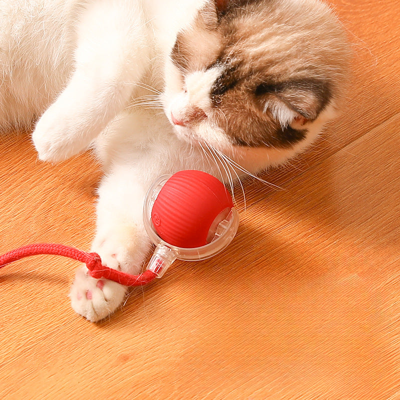 Automatic Sound Cat Ball