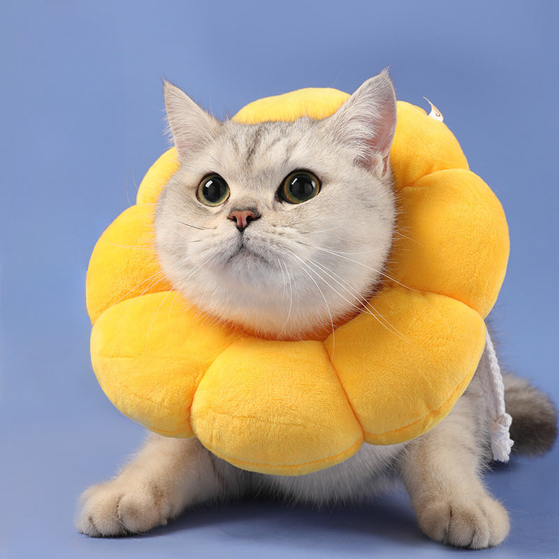 Cat Anti-Lick and Bite Sunflower Neck Cover