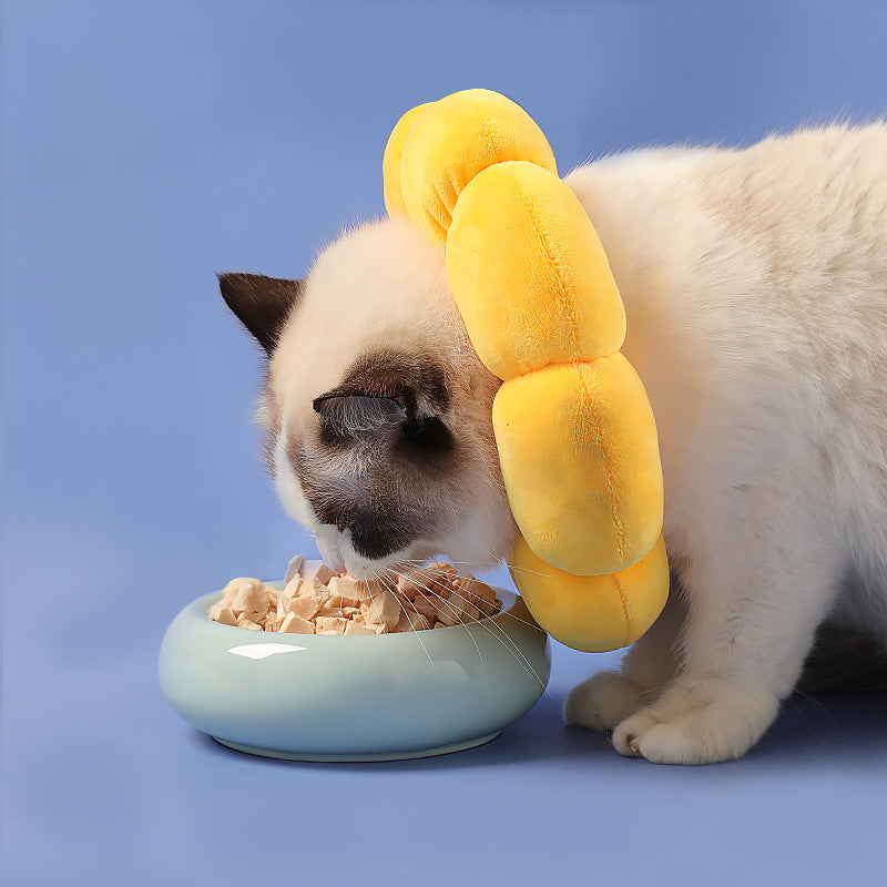 Cat Anti-Lick and Bite Sunflower Neck Cover