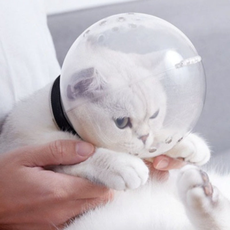 After Surgery Anti-Licking Pet Safety Hood