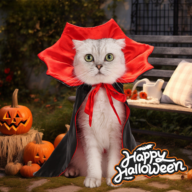 Halloween Vampire Costume