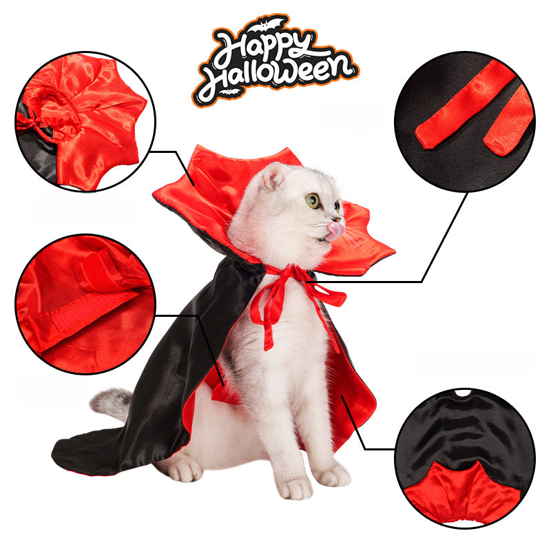 Halloween Vampire Costume