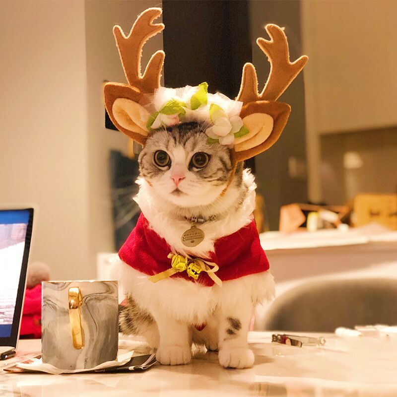 Christmas Pet Antlers Clothing