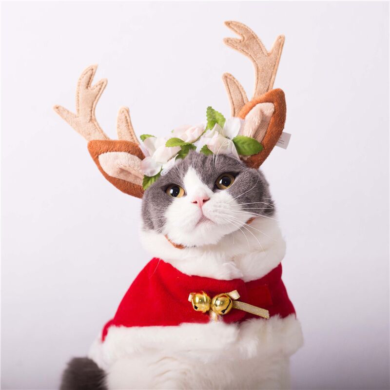 Christmas Pet Antlers Clothing
