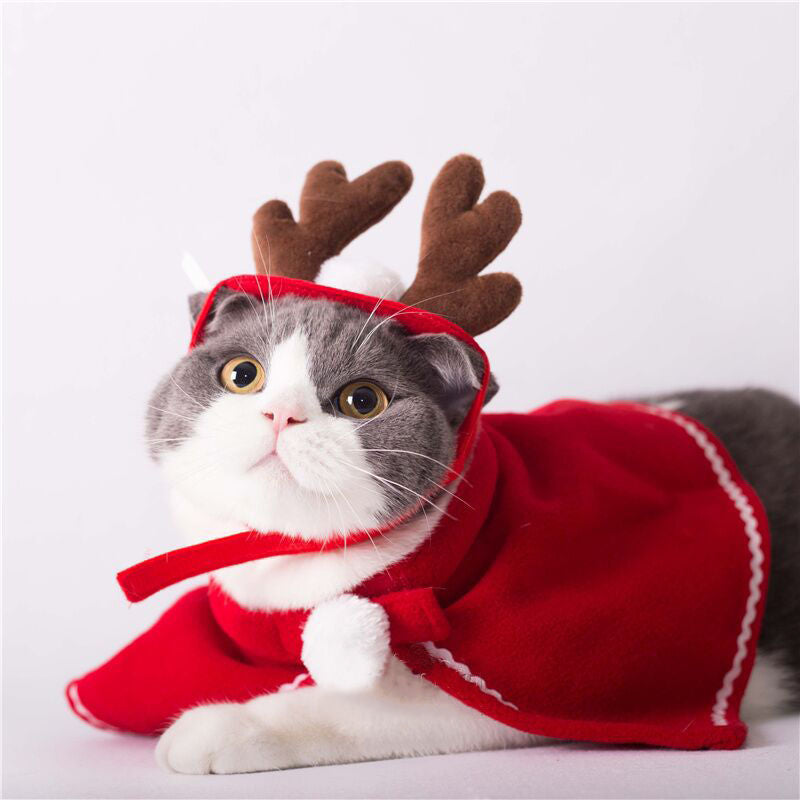 Christmas Pet Antlers Clothing