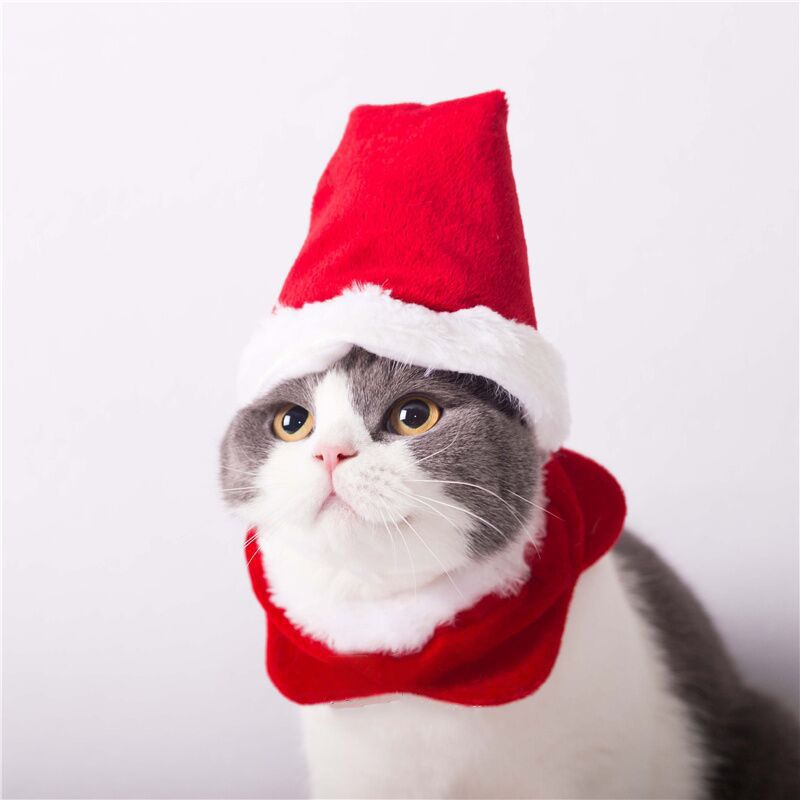 Christmas Pet Antlers Clothing