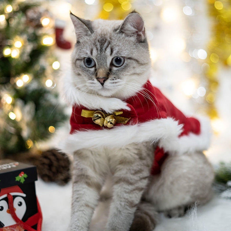 Christmas Pet Antlers Clothing