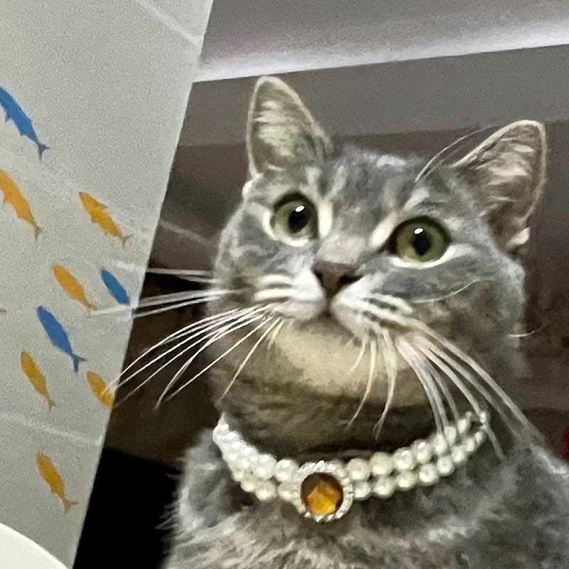 Double Layer Gemstone&Pearl Necklace