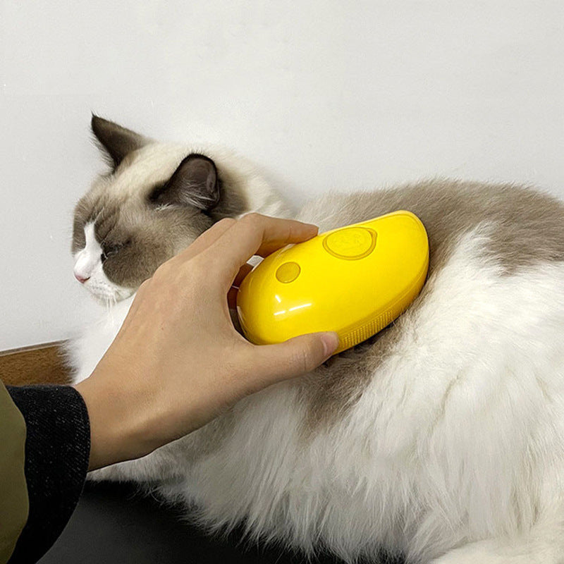 Pet Spray Massage Comb