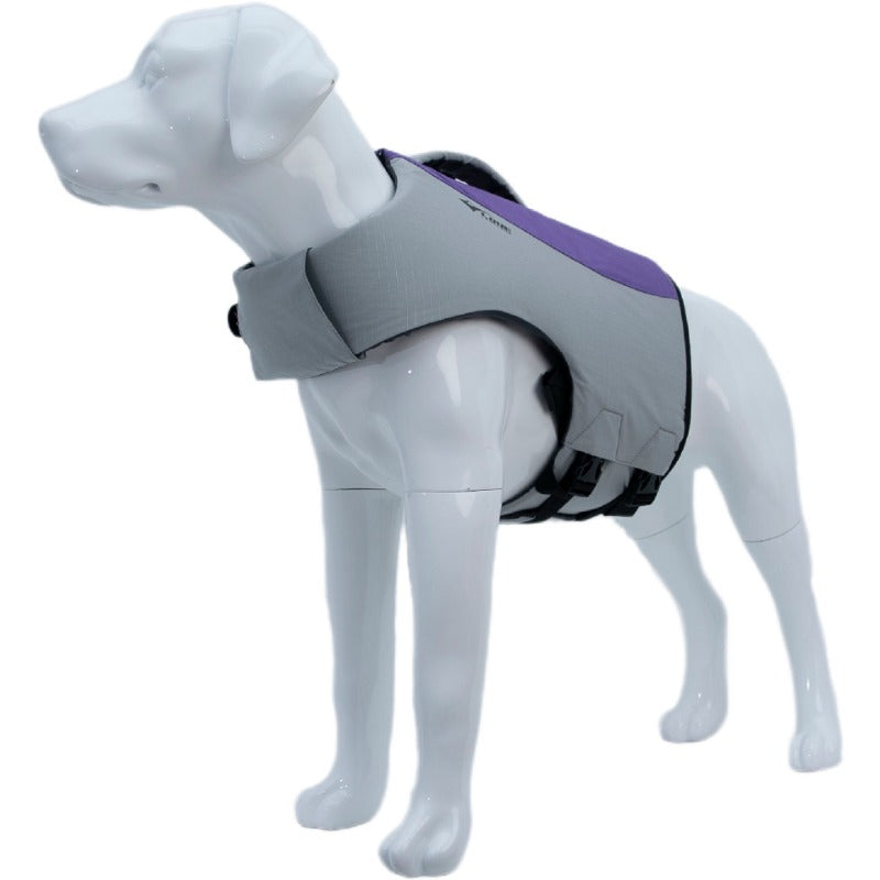 Life Vest