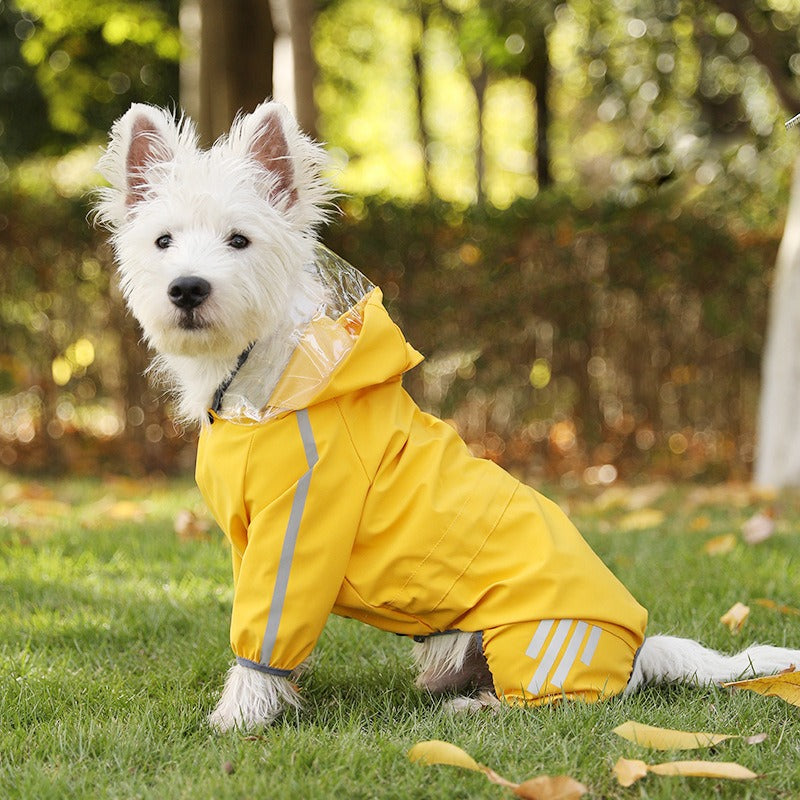 Waterproof Raincoat