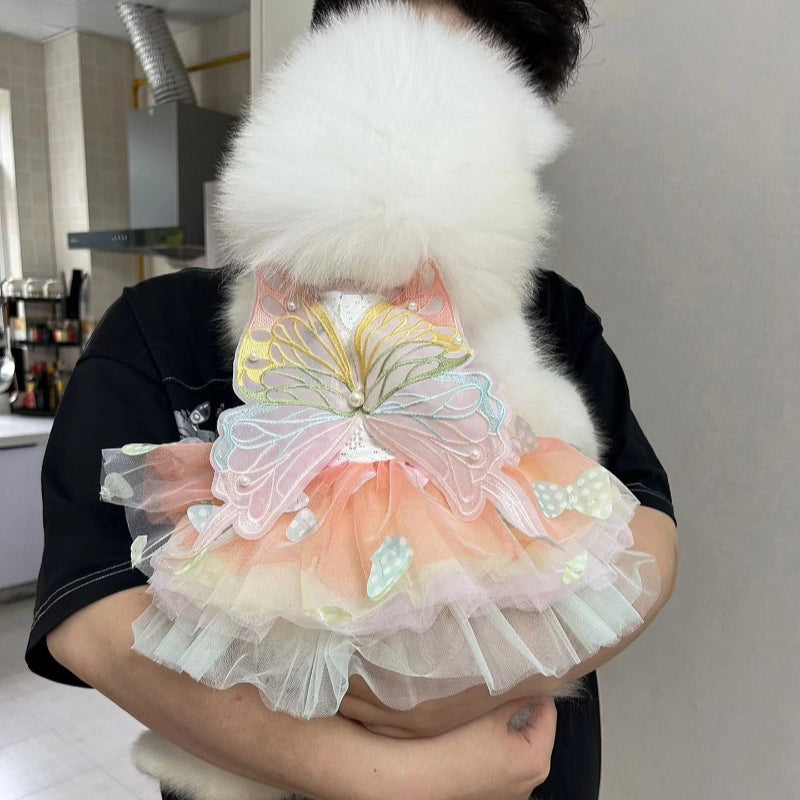 Butterfly Princess Dress
