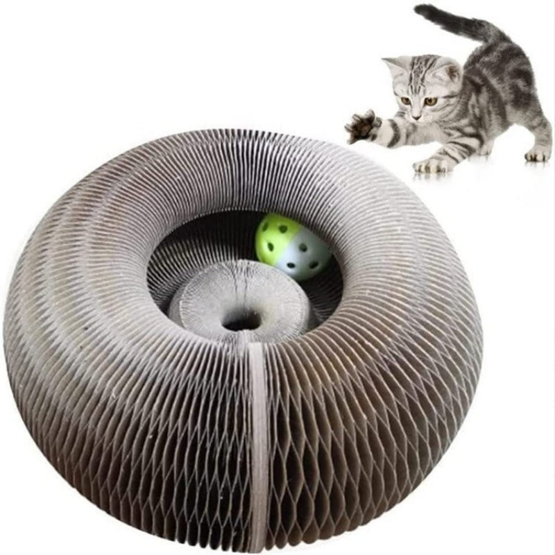 Magic Organ Cat Scratching Toy