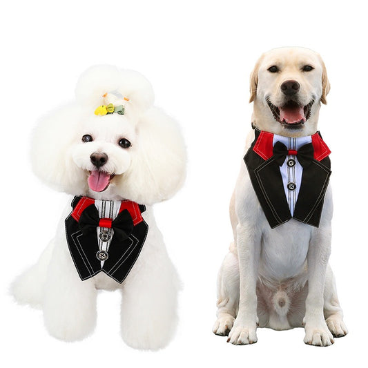 Bow Tie Dog Collar Suit