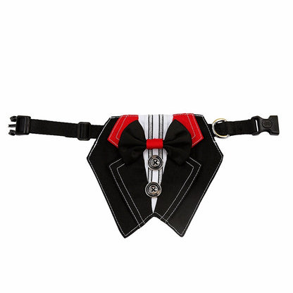 Bow Tie Dog Collar Suit