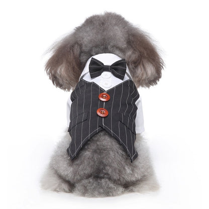 Pet Bowtie Tuxedo