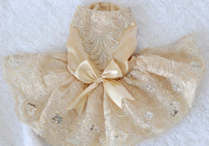 Embroidered Lace Dress
